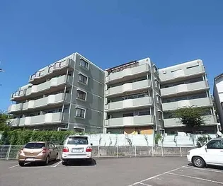 メゾン・ド・パイユ【402号室】の外観