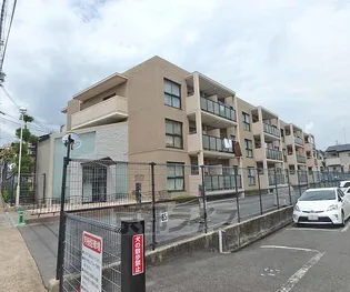 ローファス小島の画像