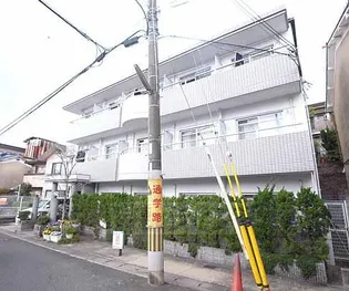 ビオルネセブンの画像