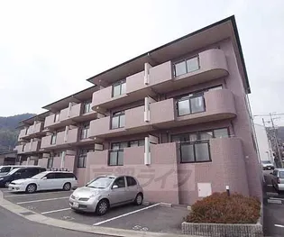 ミレニアム加納の画像