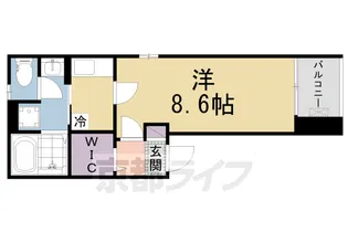 プログレNΩ【202号室】の間取り