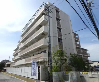 LA・VITAROSA 松栄【203号室】の外観