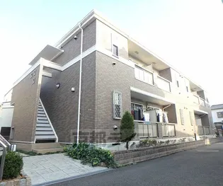 シトラスコートの画像