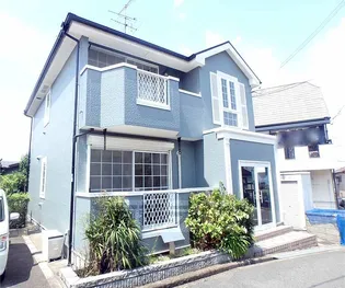 ラベンダー長尾の画像