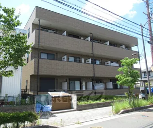 アンプルール フェール ヴェルジュの画像