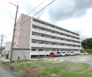 ブラッサム精華の画像