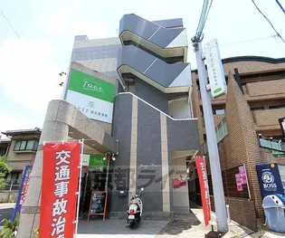 ユングフラウマイの画像