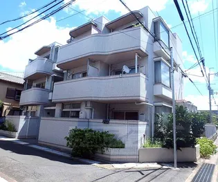 ルネサンスの画像