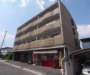 フォレストキタゲンの画像