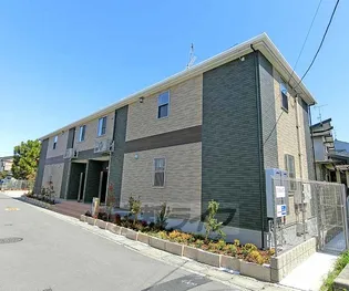 シェモアの画像