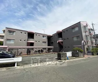 アルカサール幸の画像