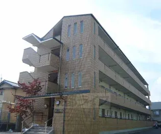 モリスワンの画像