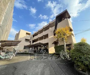 メゾンドール東条の画像