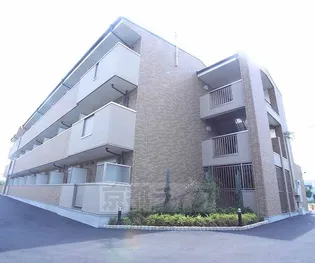 セイバリーヒルの画像