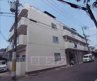 グレース藤田の画像