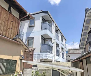 グランシャリオカツラの画像