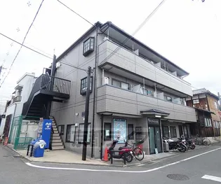 MIREI紫野の画像