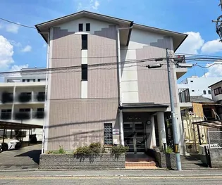 ドムールYの画像