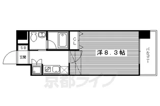 京都府京都市中京区新町通姉小路下る町頭町【マンション】の間取り