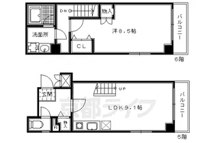 Vine Oak Noche【502号室】の間取り