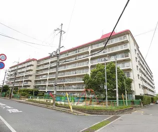 石清水ビューハイツA棟の画像