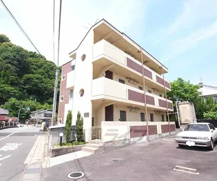 シャルマンアシダの画像