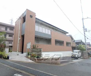 バンブーヴィレッタの画像