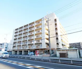 桃山和泉ハイツ【608号室】の外観