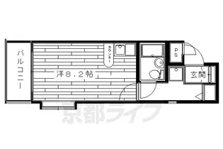 デトムワン京大前Ⅱ【208号室】の間取り