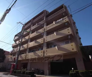 フィエスタ・ヴィラ【5階】の外観