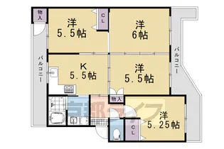 京都府乙訓郡大山崎町円明寺北浦【マンション】の間取り