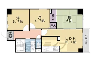 パインフィールド吉祥院【0807号室】の間取り