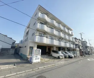 ビラデリンネの画像
