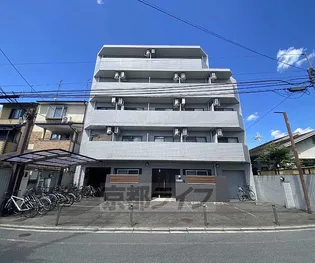 アポロンの画像
