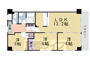 サウスビン【501号室】の間取り