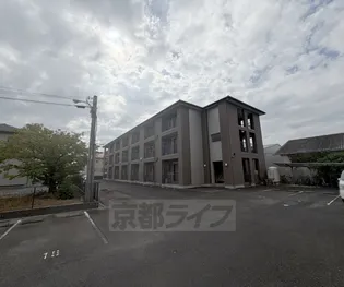 パールコートの画像