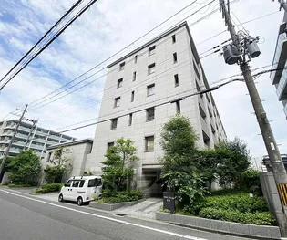 パインフィールド洛西【3階】の外観