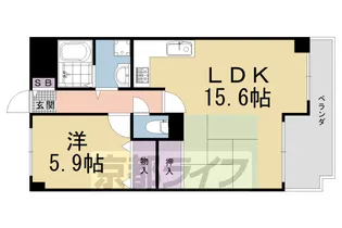 コスモ御池通【3階】の間取り