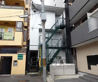 ミモザの画像
