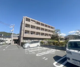 コーポせいまCの画像