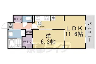 フェリス コート【1階】の間取り