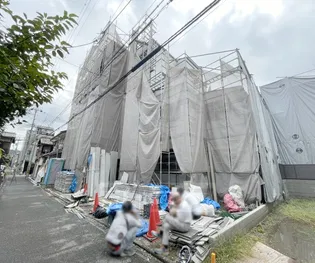 D PORTA PINEの画像