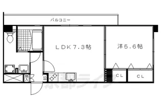アテナリー右京【2階】の間取り