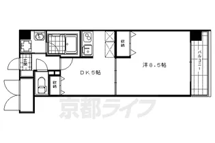 ベルエトフYⅡ【605号室】の間取り