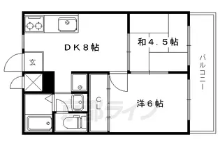 高野ロイヤルハイツ【209号室】の間取り