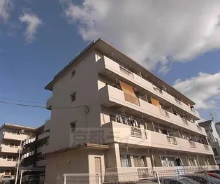 高野ロイヤルハイツの画像