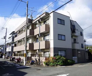 華陽ハイツ【3-A号室】の外観