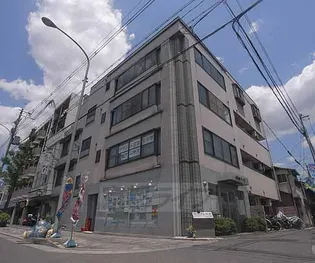 サンフェスタの画像