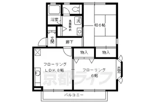 ハイカムール西賀茂【101号室】の間取り