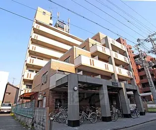 ラ ヴィーダの画像